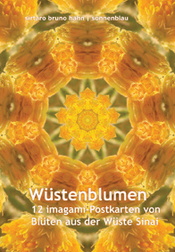 Imagami Nr. 603, Imagami-Postkarten-Mappe Wüstenblumen (12 imagami Postkarten)