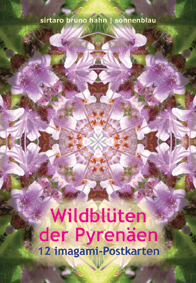 Imagami Nr. 607, Imagami-Postkarten-Mappe Wildblüten der Pyrenäen (12 imagami Postkarten)