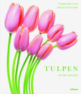 Tulpen Tulpen