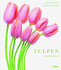 Tulpen Tulpen