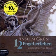 12 Engel erleben, 1 Audio-CD