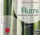 Erkenntnis durch Liebe, 1 Audio-CD