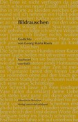 Bildrauschen
