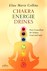 Chakra-Energie-Drinks