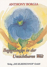 Begegnungen in der Unsichtbaren Welt