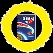 Ami kehrt zurück