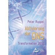 Aktivierung der DNS