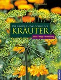 Die große Enzyklopädie der Kräuter