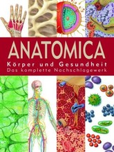 Anatomica