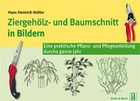 Ziergehölz- und Baumschnitt in Bildern