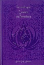 Die subjektbezogene Evolution des Bewusstseins