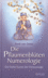 Die Pflaumenblüten Numerologie