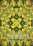 Heilpflanzen, 12 imagami-Bl&uuml;ten Postkarten