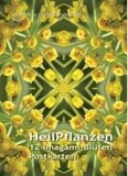 Imagami-Postkarten-Mappe Heilpflanzen (12 imagami Postkarten)
