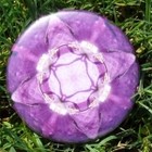 Imagami Nr. 501, Button Glockenblume
