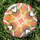 Imagami Nr. 502, Button Lupine