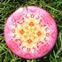 Imagami Nr. 505, Button Heckenrose