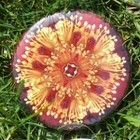 Imagami Nr. 506, Button Küchenschelle