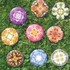 Imagami Nr. 510, Button Set - alle Neune