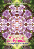 Imagami Nr. 607, Imagami-Postkarten-Mappe Wildblüten der Pyrenäen (12 imagami Postkarten)