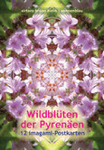 Imagami Nr. 607, Imagami-Postkarten-Mappe Wildblüten der Pyrenäen (12 imagami Postkarten)