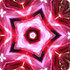 Imagami Nr. 470, Wasserwandler Kornblume, 10 cm