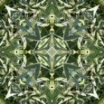 Imagami Nr. 605, KraftBild auf FotoDruck 50x50cm