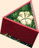 Imagami Nr. 244, Spiel Kaleidoskop