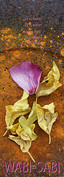 Wabi-Sabi 2012