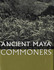 Ancient Maya Commoners