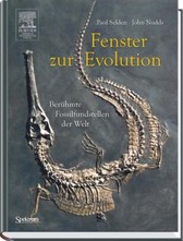 Fenster zur Evolution