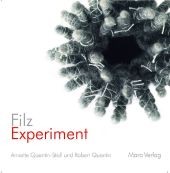 FilzExperiment