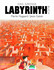 Das grosse Labyrinthbuch
