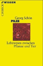 Pilze
