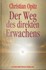 Der Weg des direkten Erwachens