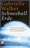 Schneeball Erde