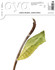 Oya Ausgabe Nr. 41, November/Dezember 2016 Oya Ausgabe Nr. 41, November/Dezember 2016