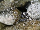 Postkarte - Wassertropfen im Spinnennetz