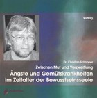 Ängste und Gemütskrankheiten im Zeitalter der Bewusstseinsseele, 2 Audio-CDs