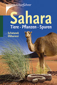 Sahara