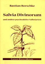Salvia Divinorum und andere psychoaktive Salbeiarten