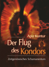Der Flug des Kondors