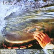 Im Fluss der Musik  (2 Audio CDs)