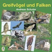 Greifvögel und Falken Audio CD