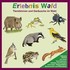 Erlebnis Wald Audio CD