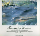Tanzendes Wasser