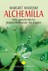 Alchemilla  Alchemilla