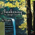 Awakening in the Magic Woods Audio CD Awakening in the Magic Woods Audio CD