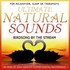 Birdsong by the Stream Audio CD Birdsong by the Stream Audio CD
