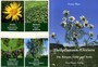Blüten- und Heilpflanzen-Elixiere, m. 50 Kräuterkarten Blüten- und Heilpflanzen-Elixiere, m. 50 Kräuterkarten